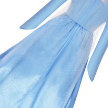Cargar imagen en el visor de la galería, Disfraz Frozen Elsa Sencillo con Accesorios - 80029